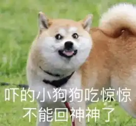你的头发为什么总是油油油油