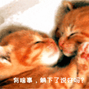 抖音热门表情包