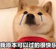肾脏日护好你的肾宝宝,你好我好他也好