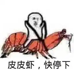 究竟皮皮虾我们走是什么梗海鲜界的小弟咋成了表情包界的扛把子图