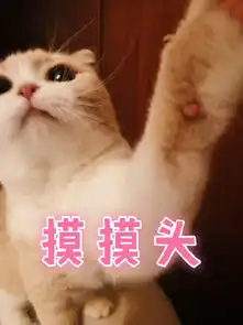 摸摸头表情包摸摸头微信表情包摸摸头qq表情包发表情fabiaoqing.com