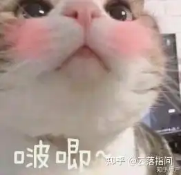 有人用过萌牙家的电动牙刷吗值不值得入手