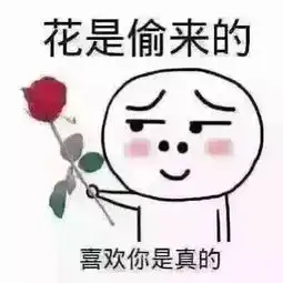 倾心惜花awm照片倾心惜花awm相册大全yy官方