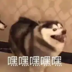 学代会热水不稳定网速慢垃圾桶太少戳进来