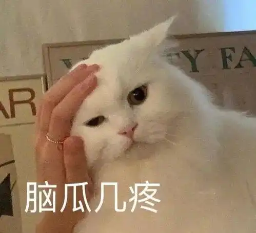 表情包让我看看我的爱情在哪里