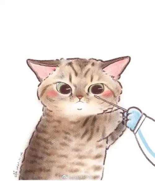 好可爱呀喵喵也要做核酸打疫苗