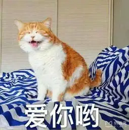 重庆五日游攻略有吗