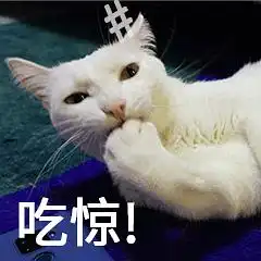 大尾巴狼的相册表情包丑白毛33