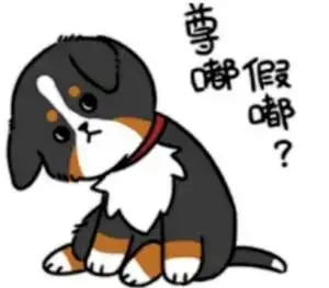 尊嘟假嘟