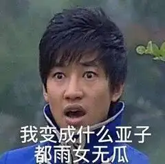 游乐王子表情包