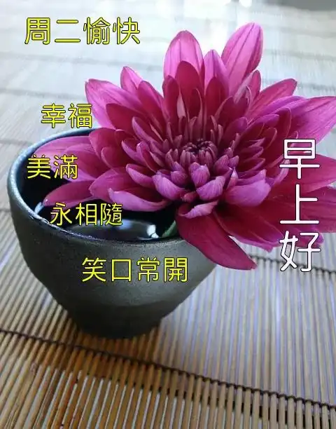 上午好图片大全,最新祝福语图片