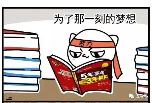 在龙岩,连续三年无实际招生或不足100人的普通高中,将有可能停止招生