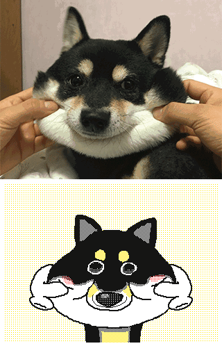 灵魂画师笔下的魔性表情包,笑到腮帮子痛哈哈哈哈哈哈瞬间被治愈了