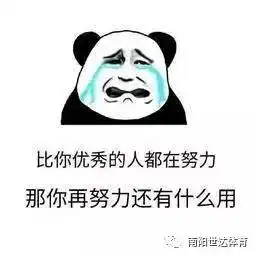 搜狐体育搜狐网