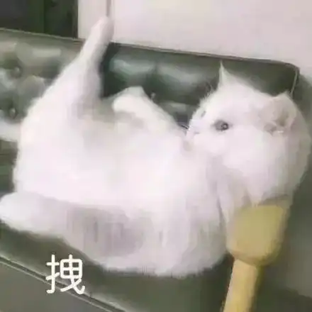 太棒了南北名医大咖来西海岸义诊,pick谁成了最大难题