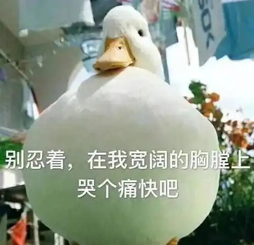 安慰高考失利的表情包