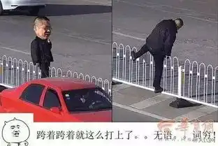 讲真,不遵守交通规则的人会变成表情包,不信你看
