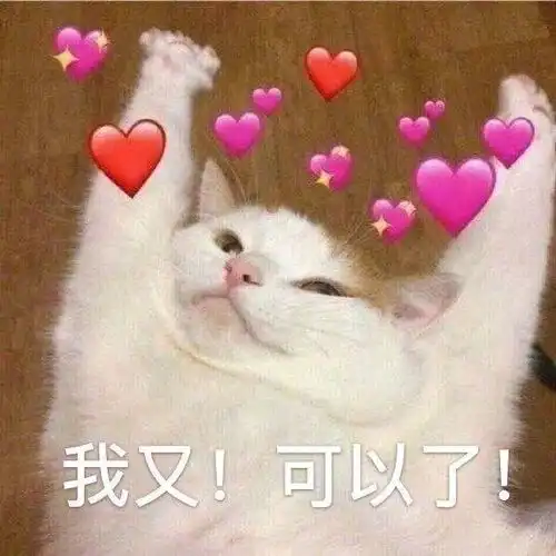 猫咪表情包,撩妹用的,超可爱表情包,就像这个样子的