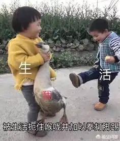 为什么一到了饭点头条是给自己推荐美食视频