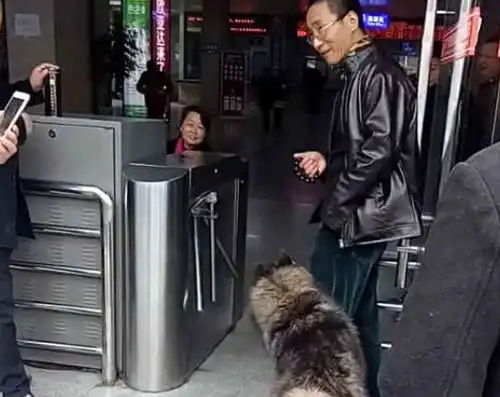 阿拉斯加迷路了,抱着男人就是不撒手,动作太污了