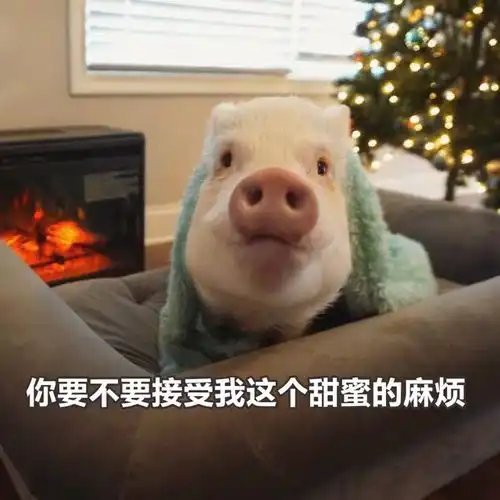 穿搭