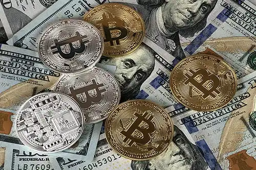 商标驳回怎么办环标网助你一路畅通无阻