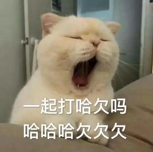 有哪些哄女朋友的可爱的表情包