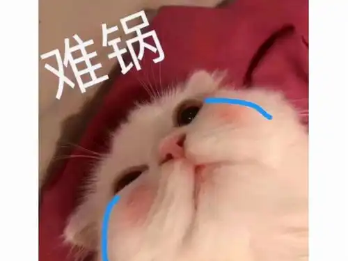 班花其实是网瘾少女为追妹子玩剑灵,反手把英语6级给过了