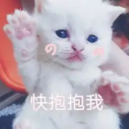 可口可乐出彩妆了这样优秀的跨界选手你一定要知道