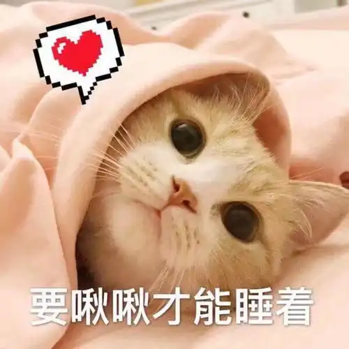 为什么老外听到,ilovecat会被吓坏