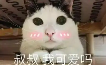 成为铲屎官之后,这些事情几乎不可能了吧