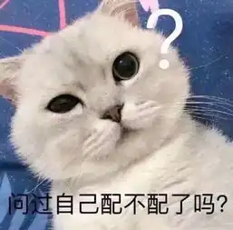 小妞终于找到了变身财大程潇的方法