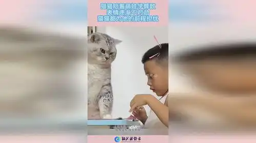 猫猫陪着萌娃学算数,表情逐渐不对劲,猫猫都为他的前程担忧