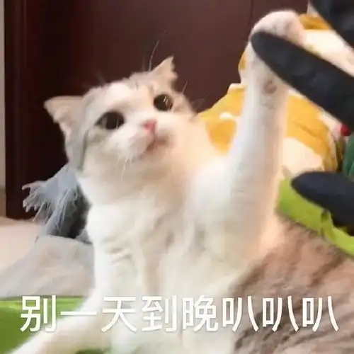 幽默笑话今天,老婆给我炫耀她上大学时多么受男生欢迎