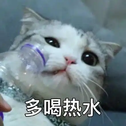 表情包好气哦,越想越气