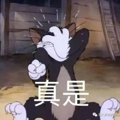 攀高枝的独立女性这么喜欢教人做事吗
