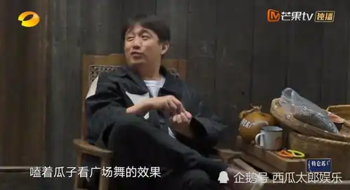 向往的生活蘑菇屋初舞台表演,张艺兴火力全开,那英爆笑十足