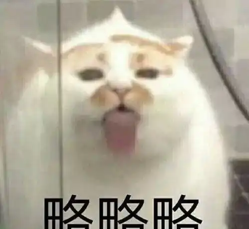 你家小猫肚子大千万不要忽视