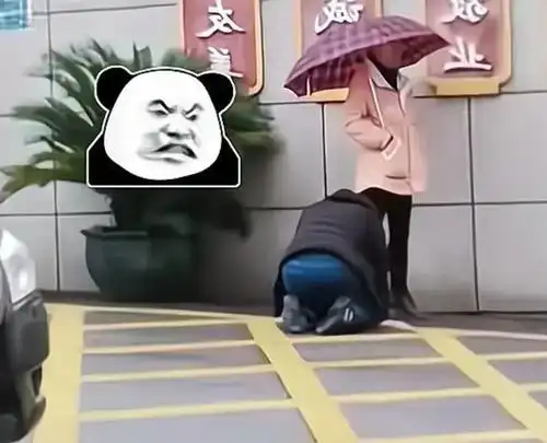 民政局前男子下跪哀求,妻子不为所动,网友迟来的爱比草贱