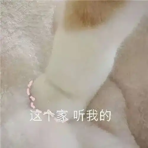 高级舔狗文案