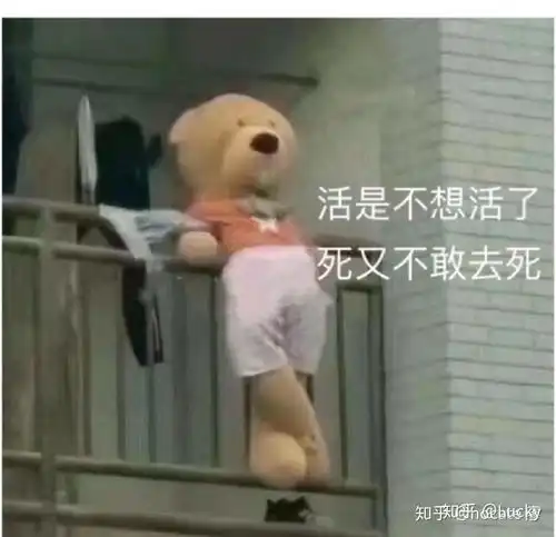 如何评价虞书欣