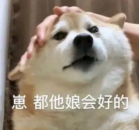 暗中观察