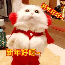 用一个猫咪表情包,我骗到了100个红包