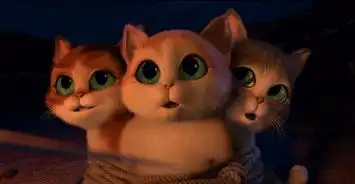 会搞怪,会卖萌,穿靴子的猫中的萌猫三剑客,没有最萌只有更萌