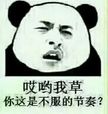 我他妈作死地网了个恋还奔了个现我真是日了狗了