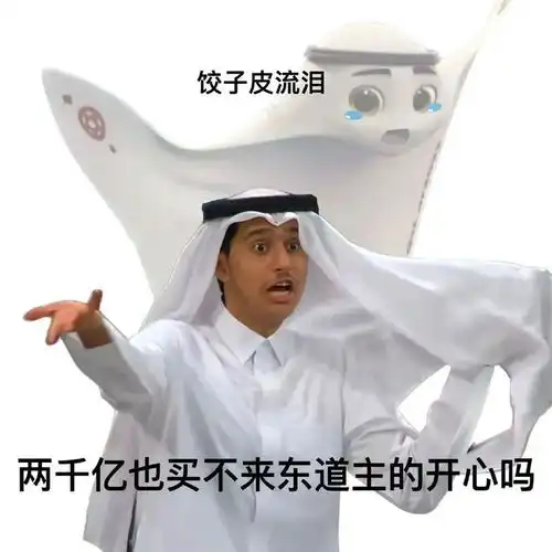 馄饨皮表情包刷屏卡塔尔王子用中文录视频回复说
