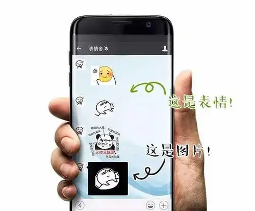 表情最新微信整人套路