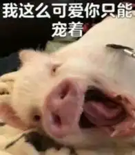 2019猪年各大品牌限定,谁才能成为猪猪女孩儿的最爱