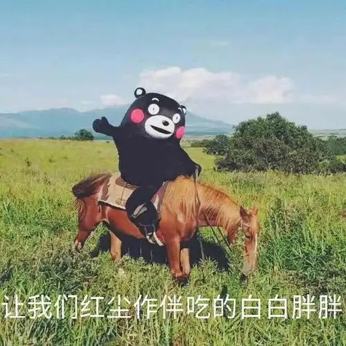 最近迷上会唱歌的小姐姐