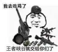 不黑不吹光荣使命是目前完成度较高的吃鸡手游